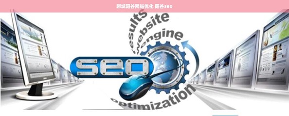 聊城陽谷網(wǎng)站優(yōu)化、SEO與計算機軟件開發(fā)銷售一體化服務解析