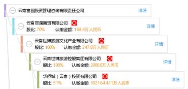 云南富園投資管理咨詢有限責(zé)任公司 專業(yè)投資管理與咨詢服務(wù)解析